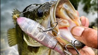 ‼️Whopper Plopper Top Water Fishing Tips‼️