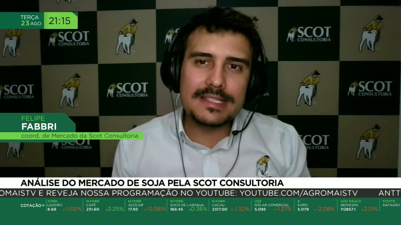 Análise do mercado de soja pela Scot Consultoria