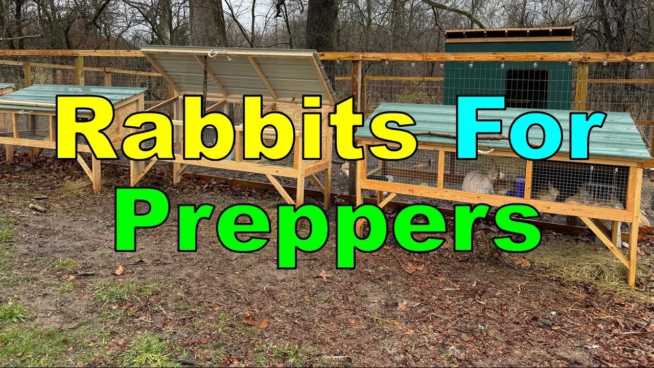 No. 319 – Rabbits For Preppers - YouTube