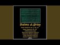 Miniature de la vidéo de la chanson Piano Concerto In A Minor, Op. 16: I. Allegro Molto Moderato