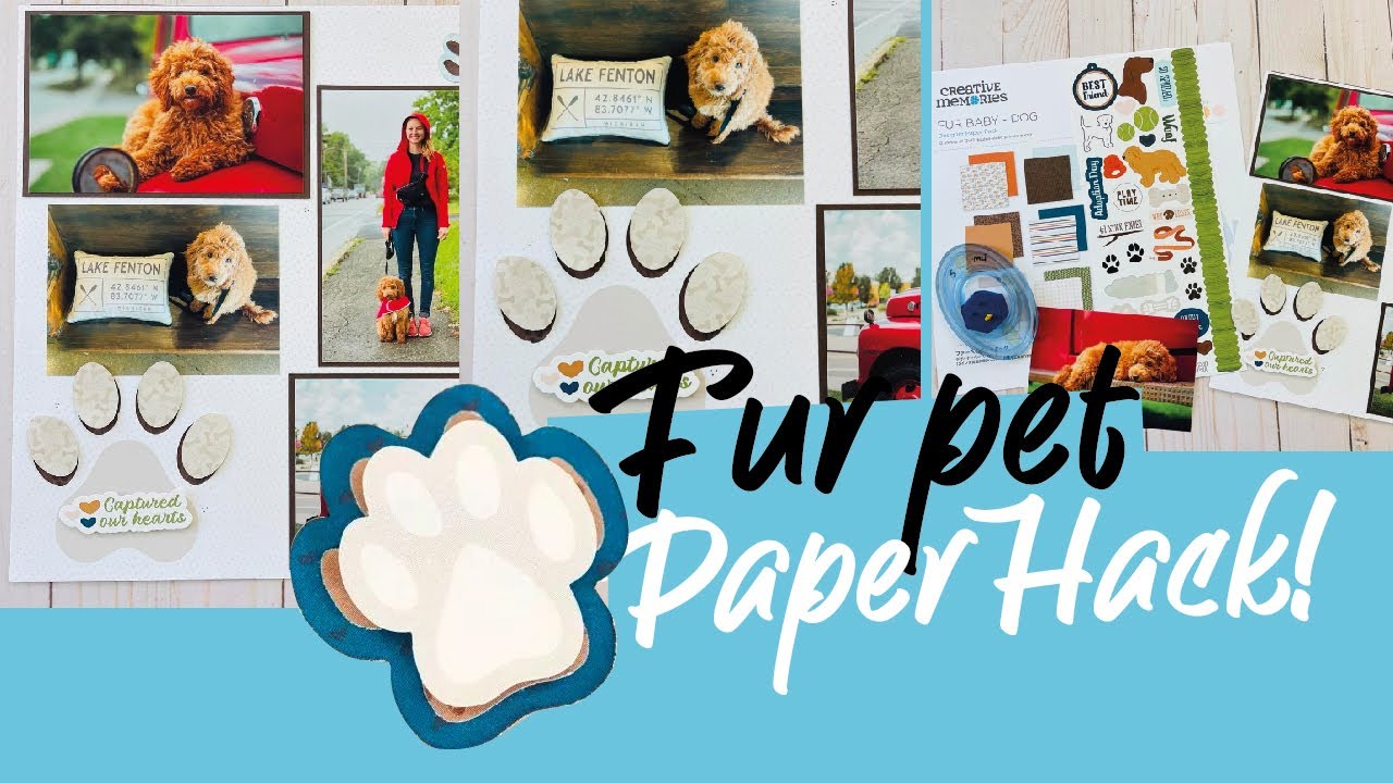 Papee Hack Fur pet Paper Hack! - YouTube
