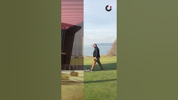 HONOMOBAR - Shipping Container Man Cave / Bar - Container Cabin Design Ideas #shorts