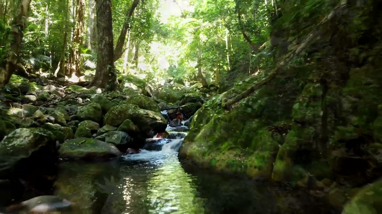 Minnamurra Falls in 4K - Kangaroo Valley - NSW 🇦🇺