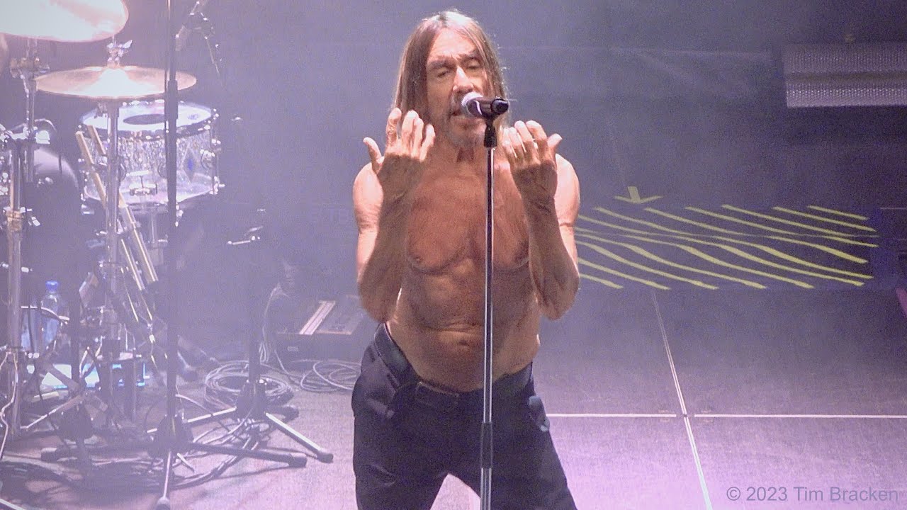 tour 2023 iggy pop