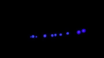 LEDs powered by Fractal Switched Capacitor Converter