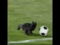 Ankara Messi ЁЯШВ Ankara Messi ЁЯШВ
