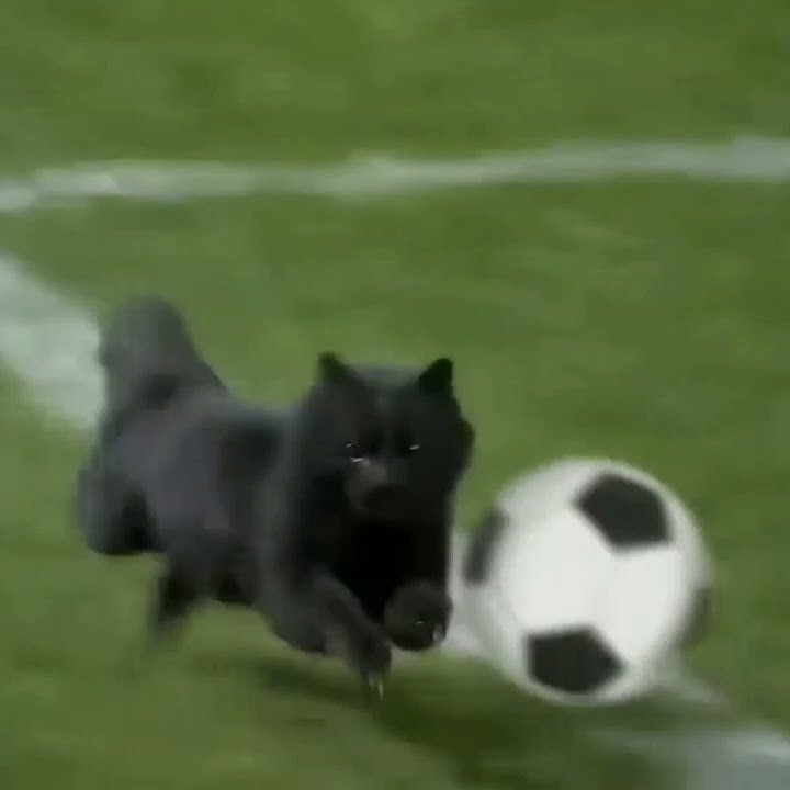 Ankara messi 😂