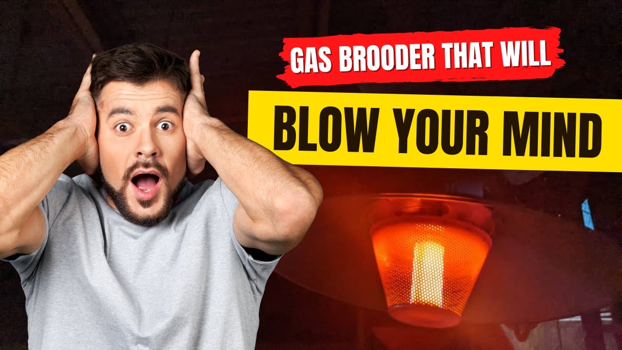 Not Just a Chicken Gas Brooder. This is Special!