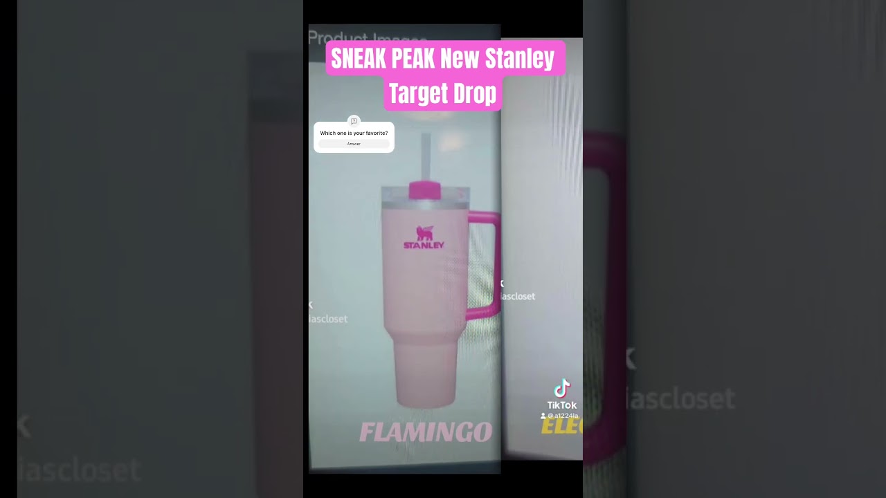 Run to Target !! New Stanley tumbler color Flamingo 💖 #stanleycup