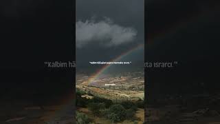 Güzel Şeyler Göreceğiz. Resimi