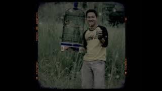 Story wa kicau mania part 3