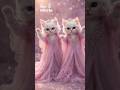 Cat Dance Video 😜🥰 #cat #cute #trendingqueen #cutecat #funnycats #catvideos #cute #funny #dancingcat
