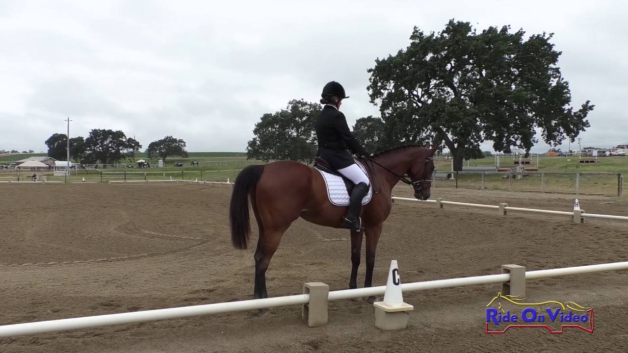 horseshoe bend 006D Cricket Wood on Illuminare Open Preliminary Dressage Shepherd Ranch June 2019
