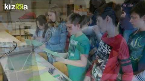 Kizoa Video Editor - Movie Maker: Making special trees - workshop by Velika Dolina