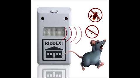 Rat Repellent | 100% Working