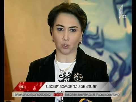 სპეცოპერაცია თბილისსა და პანკისის ხეობაში - პოლიტიკური შეფასებები