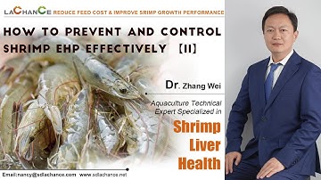 How to prevent and control shrimp EHP|| Shrimp feed additive of bile acids and Eucalyptus oil