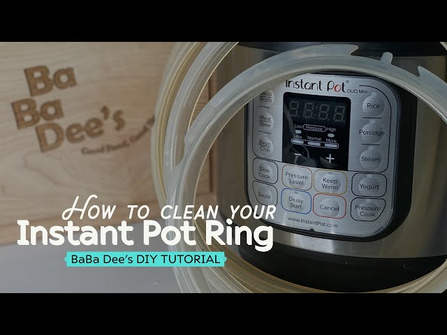 7+ ways to deal with your Instant Pot's stinky sealing ring