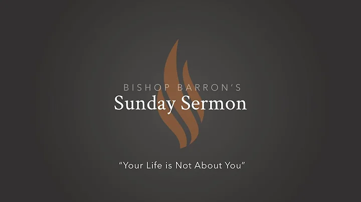 Your Life is Not About You — Bishop Barron’s Sunday Sermon - DayDayNews