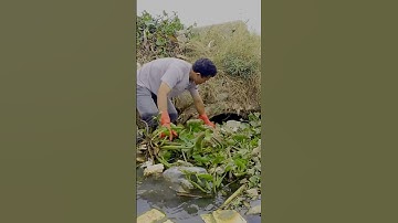 Protect Unclogged Culvert Drain #cleaning #shorts #satisfying #unclog