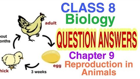 CLASS 8th Reproduction in animals Chapter 9 Science QUESTION/ANSWERS| CBSE NCERT| Bloom Learn |