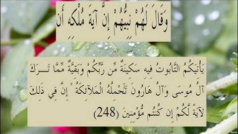 القران الكريم سورة البقرة الاية  248
