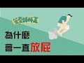 不想當屁王，一直放屁該怎麼辦?【一分鐘看營養EP21】by營養師杯蓋