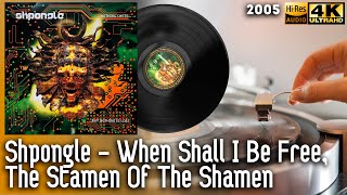 Shpongle - When Shall I Be Free, The Stamen Of The Shamen, 2005, Vinyl video 4K, 24bit/96kHz