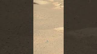 Sol 1,704: Mars revealed a texture older than time itself. Right Mastcam-Z. 🔬😶