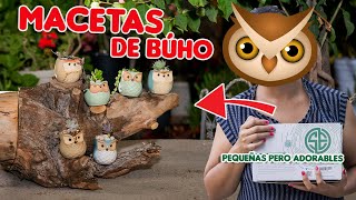 $10 challenge 6 macetas de buhó🦉🦉🌵