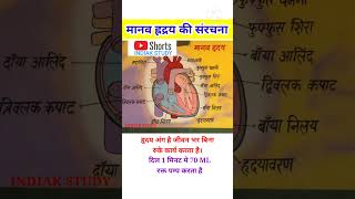 मनव हरदय क सरचन Human Heart Structure Manav Hriday