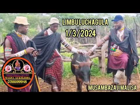 Limbu Luchagula ujumbe wa Teganja audio music musambazaji Malisa lukelesha 132024