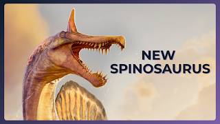 A New Spinosaurus Was Found In The Middle Of The Sahara