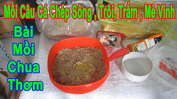 Mồi Câu Cá Chép Sông , Trôi , Trắm, Mè  | Hướng Dẫn Chi Tiết