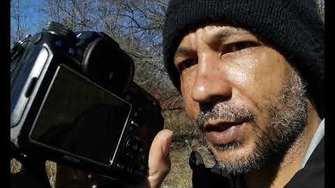 Pentax K-3/II, KP, K-1/II Program Auto Exposure (AE) mode. part 2, out in the wild.