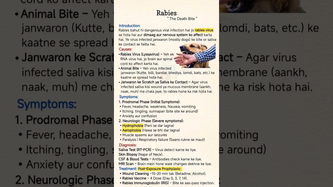 Rabies is usually transmitted through an animalbite.