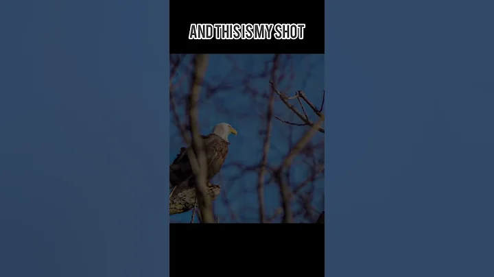 This is my camera and this is my shot of the Ameri...