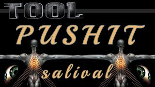 Tool - Pushit Salival Live | Reaction! (Reakcija/Diskusija)/With English subs