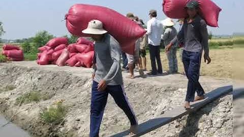 CHO THUÊ THỢ BỐC VÁC THEO GIỜ