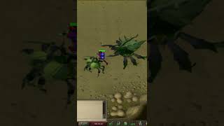 Fighting Kalphite To Get The Pet!