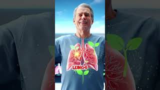 You may have smoked for 10, 20, even 30 years. This recipe will cleanse your lungs filled