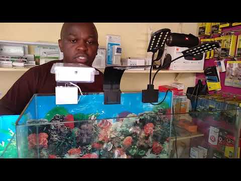 Video: Jinsi Ya Kutengeneza Taa Kwa Aquarium