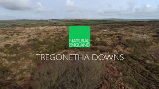 Mid Cornwall Moors SSSI – Tregonetha Downs
Tregonetha Downs forms one of the largest remaining tracts of heath and associated fen habitat within the Mid Cornwall Moors. There is a long history of both underground and surface mineral extraction in the area, which has created a series of streams, ditches and pools that flow throughout the site. The site supports several rare plants, such as the lesser butterfly orchid, allseed and Cornish eyebright, amongst many.
Tregonetha Downs is one of several reserves in the area and is managed by the Cornwall Wildlife Trust.
Video produced for Natural England by 3deep Aerial (www.3deepaerial.com) Mid Cornwall Moors SSSI – Tregonetha Downs