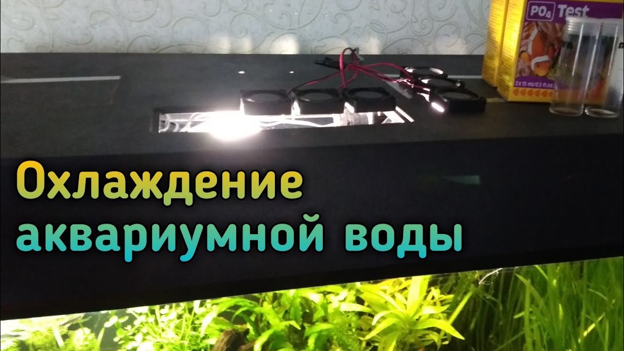 Охлаждение воды в аквариуме / куллерами - YouTube