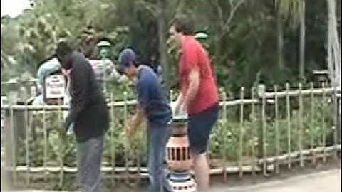 "Single Riders (Got a Fast Pass)" - The Disney Point Music Video