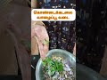 கொண்ட கடலை வாழை பூ வடை #shortsfeed #cooking #food #foodlover #health
