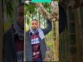 “Hidden tricks to catch a parrot”#comedy #funny #birds