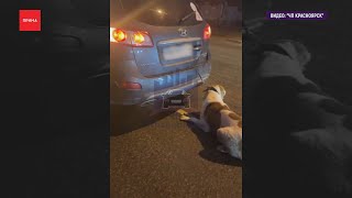 Полиция допросила женщину, протащившую собаку по асфальту