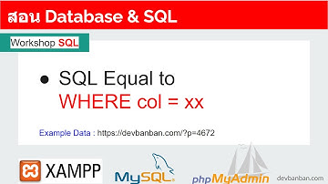 สอน Database & SQL Equal to สำหรับการ Query  โดยใช้เท่ากับเพื่อแสดงข้อมูลตามเงื่อนไขที่ต้องการ