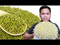Simpleng pagpapatubo ng togue | Simple way to grow mung beans sprouts